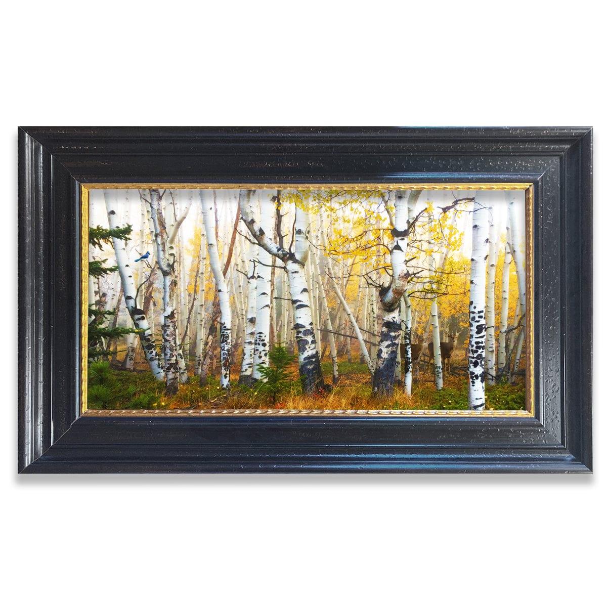 Aspens and Whitetail Deer Personalized Large Framed Canvas from Personal Prints
