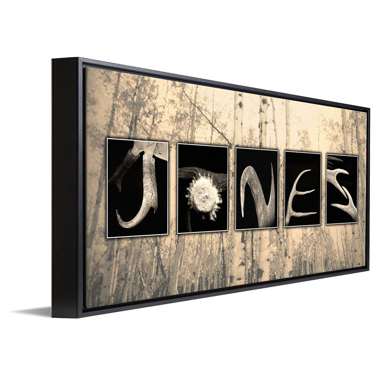 Personal-Prints art 16"x32" Float Framed Canvas Antler Letters Name Print