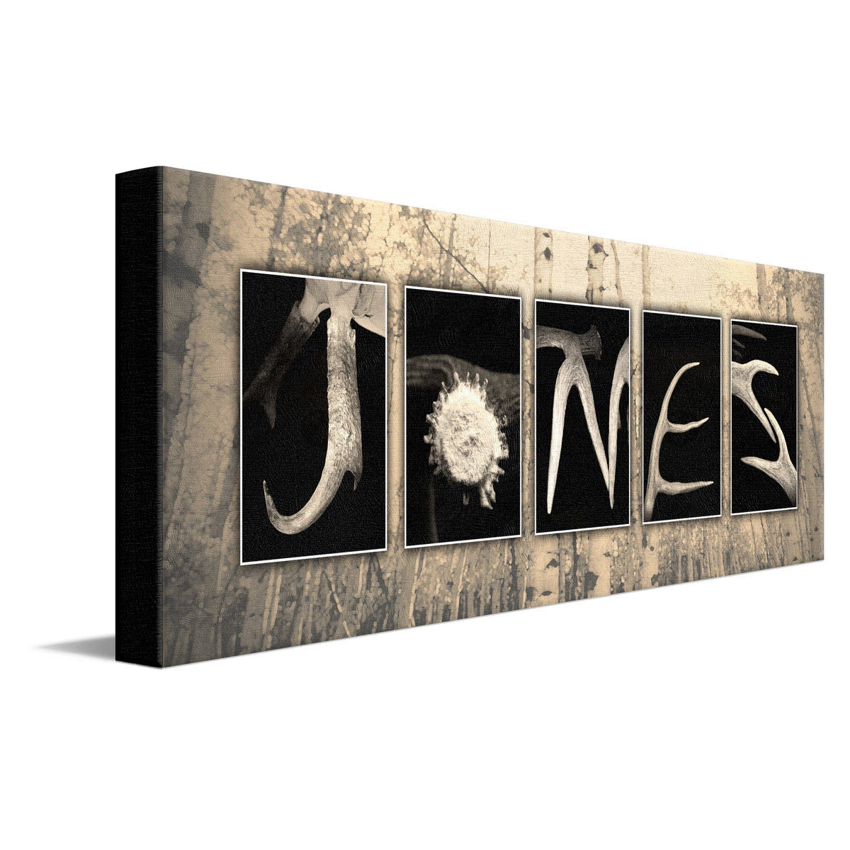 Personal-Prints art 10"x30" Stretched Canvas Antler Letters Name Print