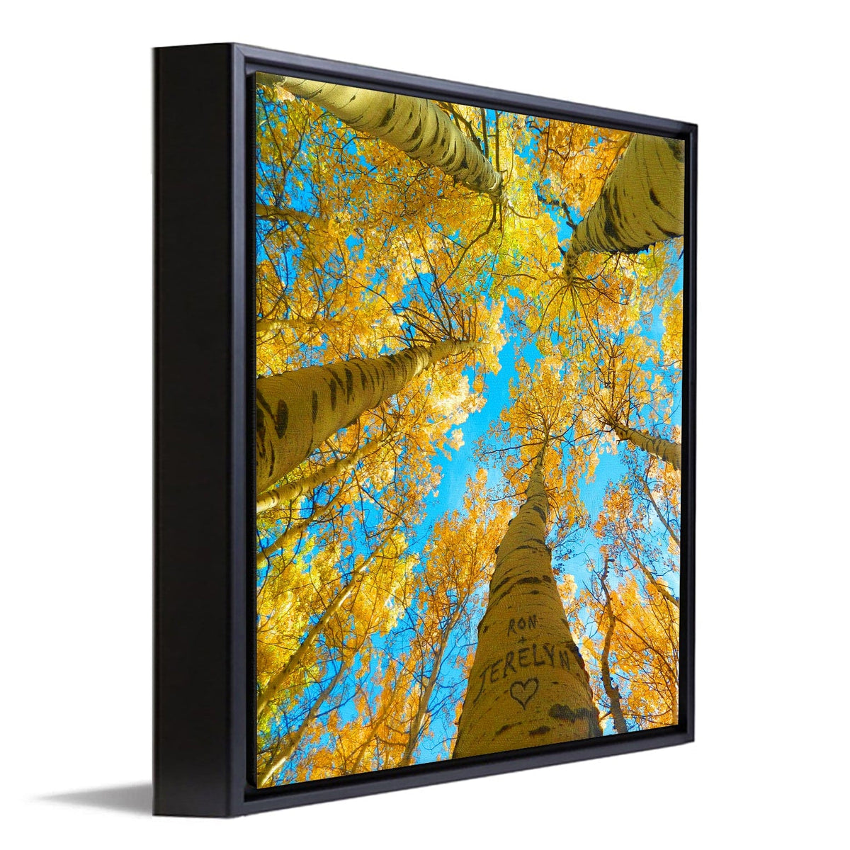 Personal-Prints art 14"x14" Float Framed Canvas Aspen Up