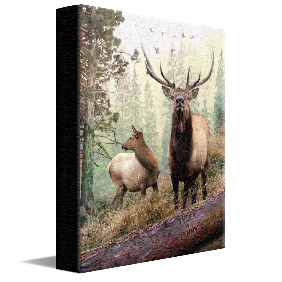Personal-Prints art 11"x14" Stretched Canvas Back Country Elk Couple