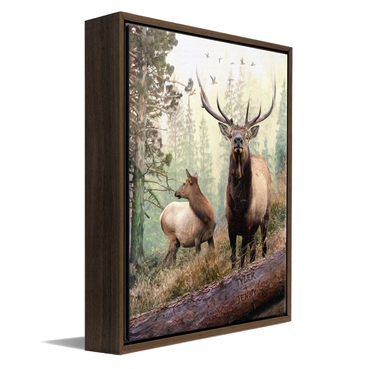 Personal-Prints art 12"x16" Float Framed Canvas Back Country Elk Couple