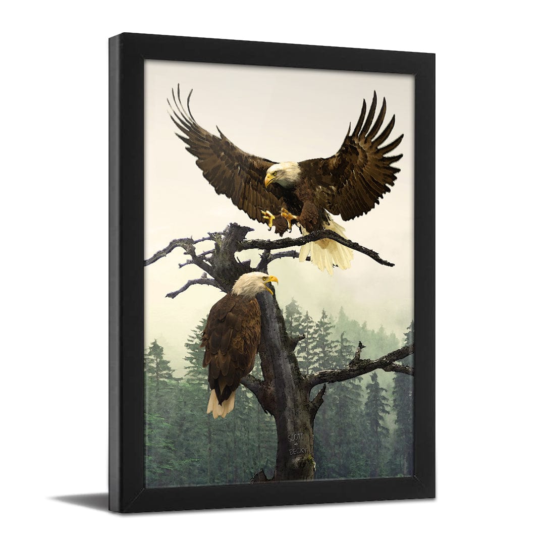 Personal-Prints art 11"x14" Framed Paper Print Bald Eagle Couple