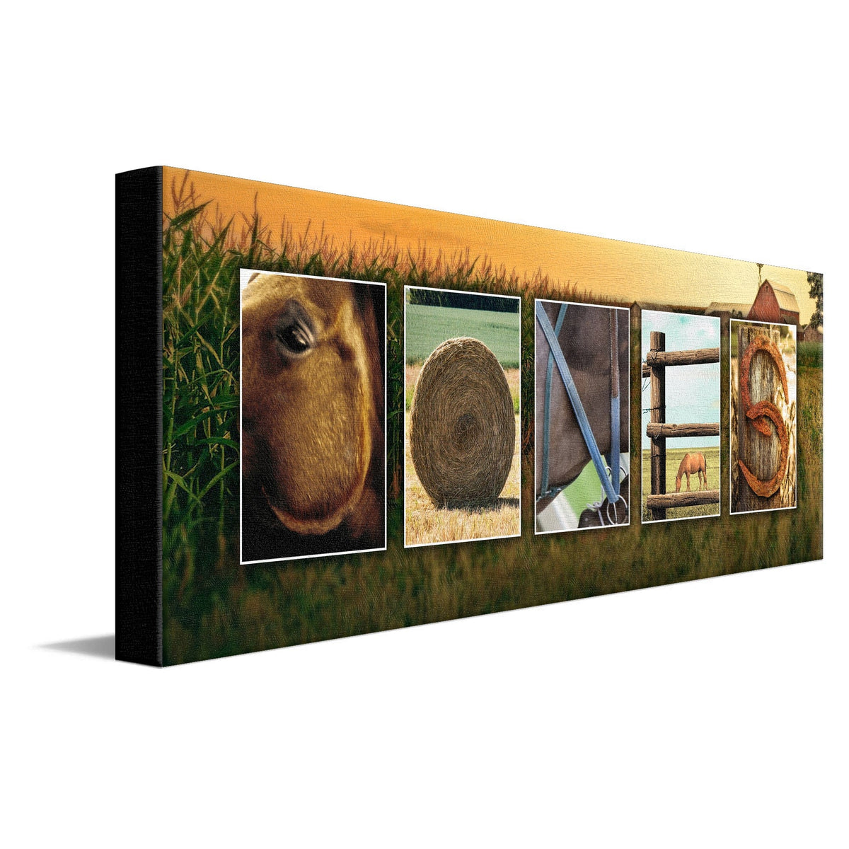 Personal-Prints art 10"x30" Stretched Canvas Horse Country Western Letter Art