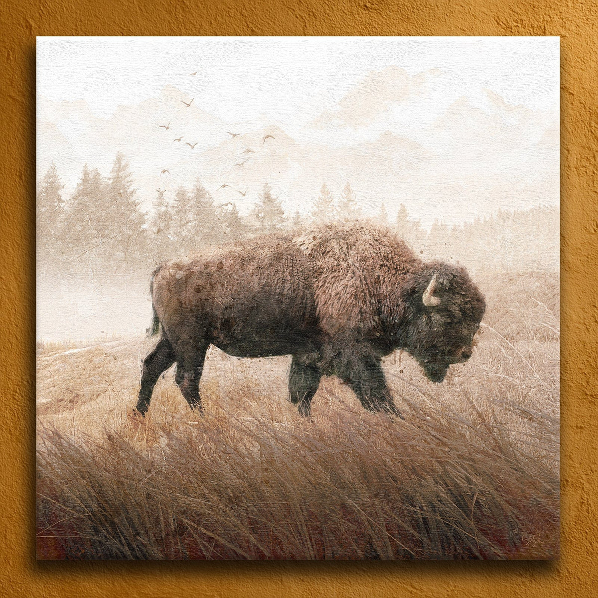Personal-Prints art 24"x24" Stretched Canvas Lone Buffalo