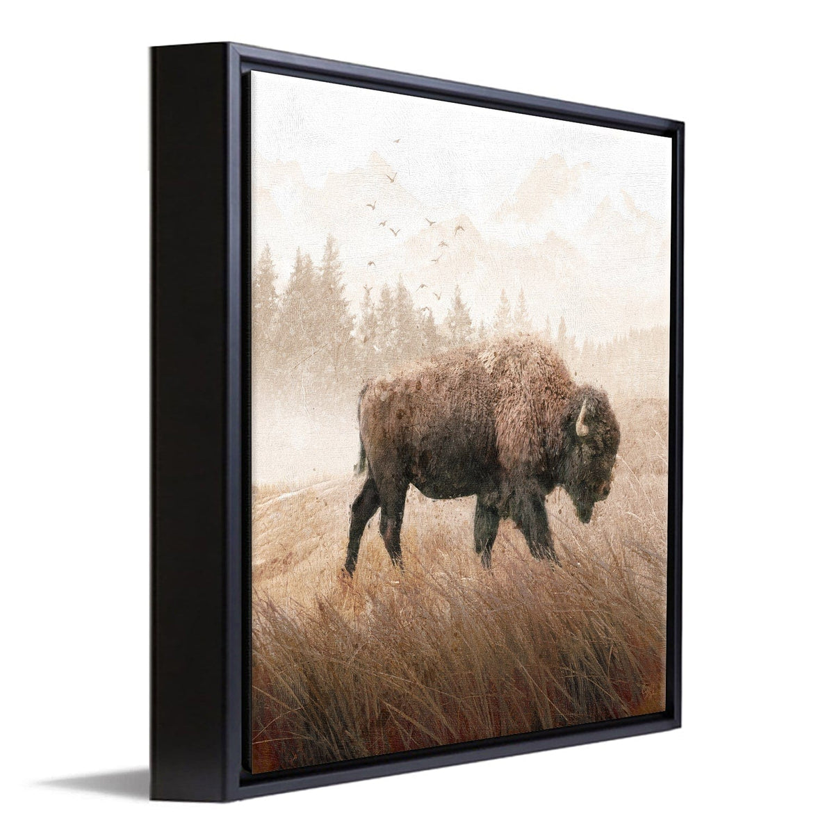 Personal-Prints art 14"x14" Float Framed Canvas Lone Buffalo
