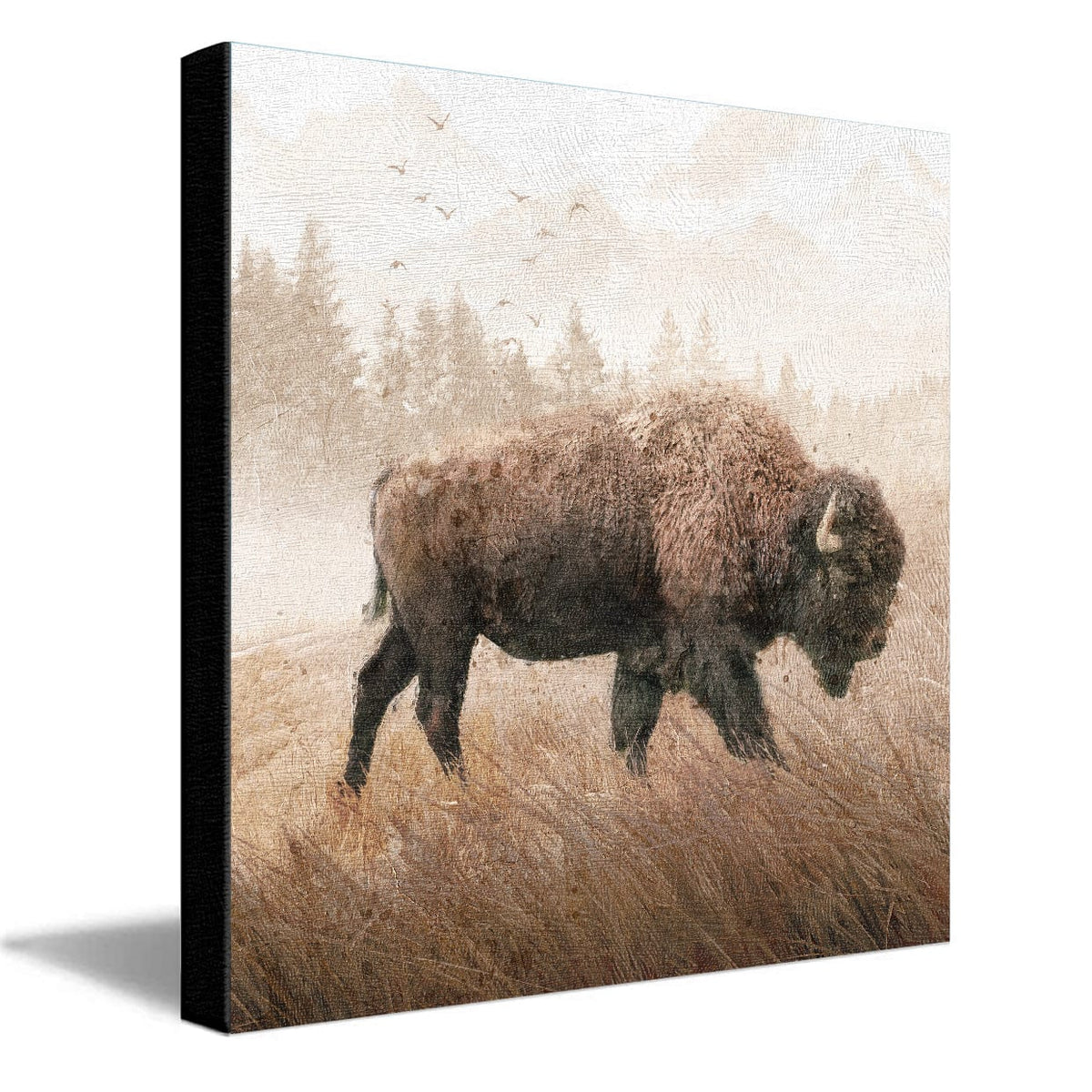 Personal-Prints art 16"x16" Stretched Canvas Lone Buffalo