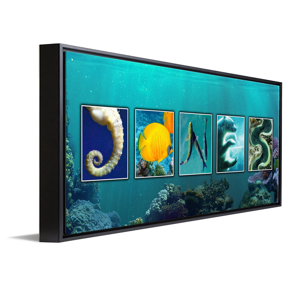 Personal-Prints art 16"x32" Float Framed Canvas Marine Life Name Art Print