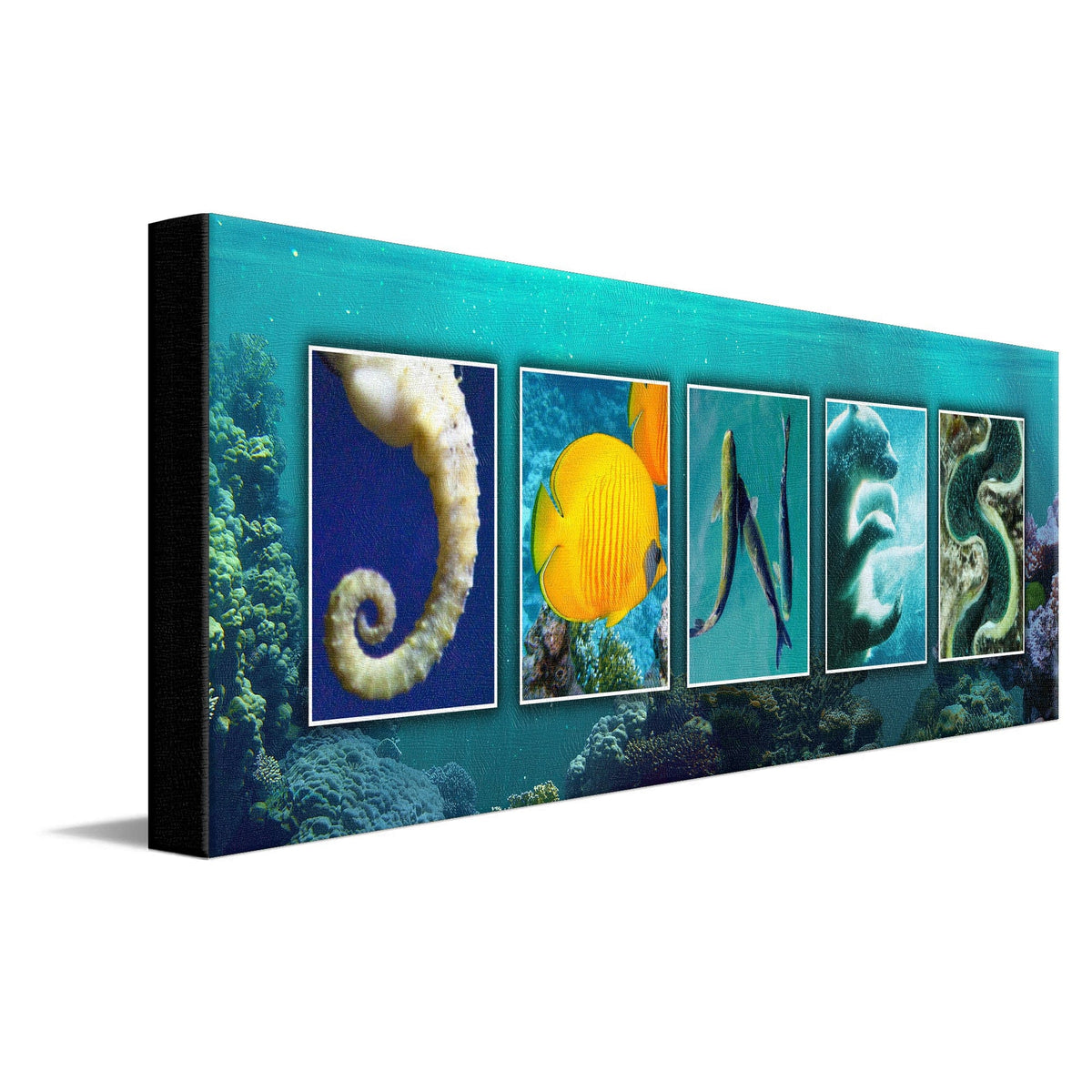 Personal-Prints art 10"x30" Stretched Canvas Marine Life Name Art Print