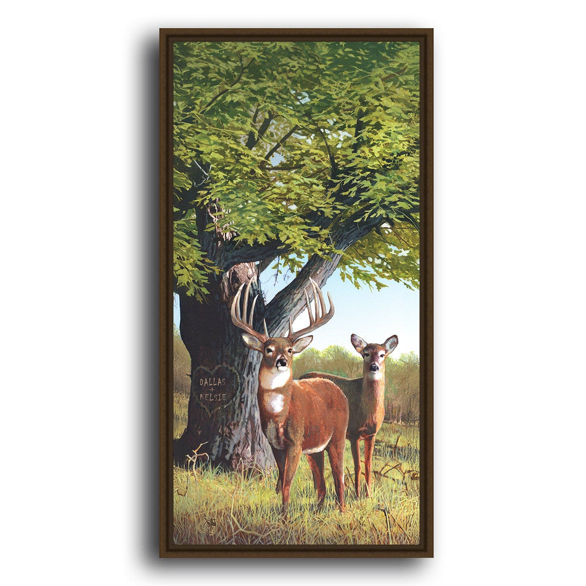 Personal-Prints art Whitetail Afternoon