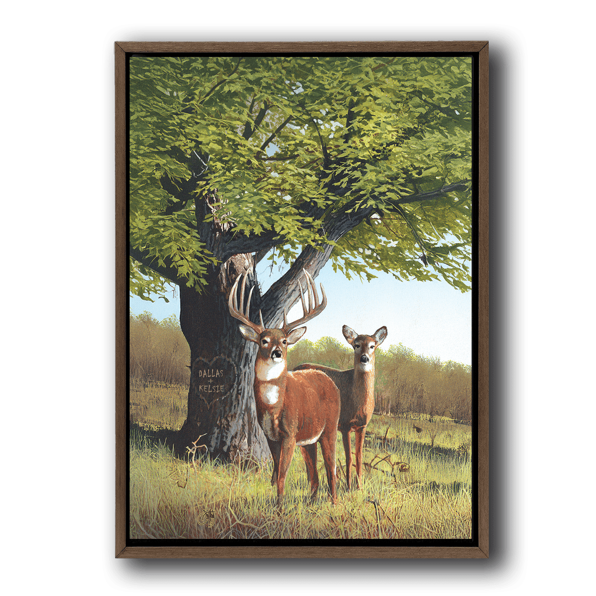 Personal-Prints art Whitetail Afternoon