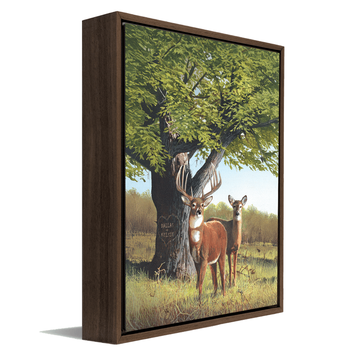 Personal-Prints art 12"x16" Float Framed Canvas Whitetail Afternoon