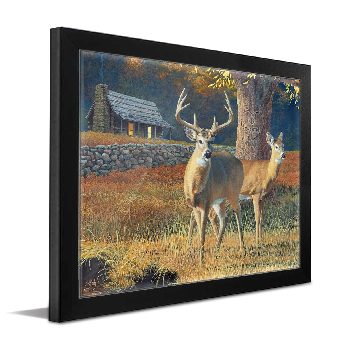 Personal-Prints art 11"x14" Framed Paper Print Whitetail Morning
