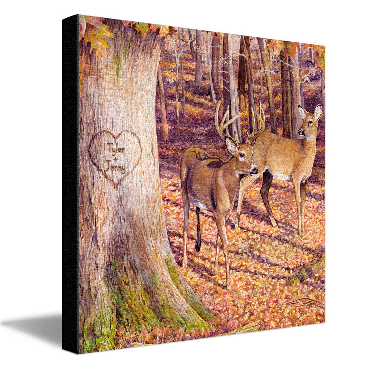 Personal-Prints art 16"x16" Stretched Canvas Whitetail Sunrise