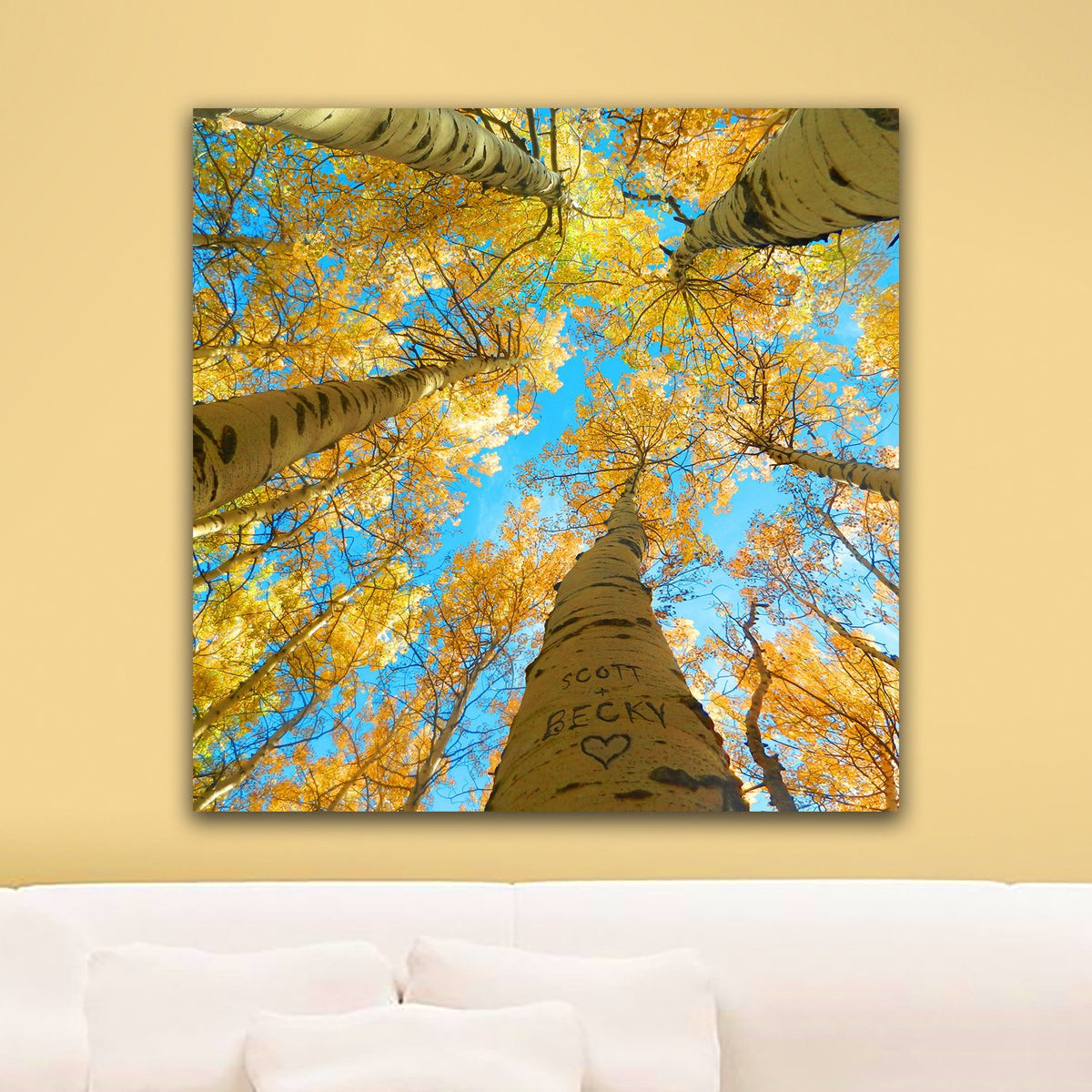Autumn Aspen tree art with a unique perspective looking up to the sky - Personal-Prints