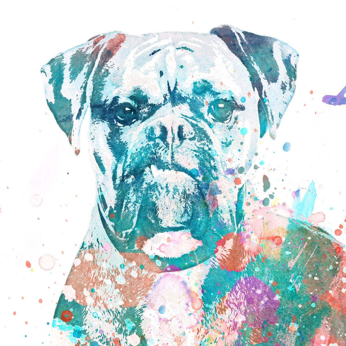 Watercolor pet portrait detail - Boxer Dog