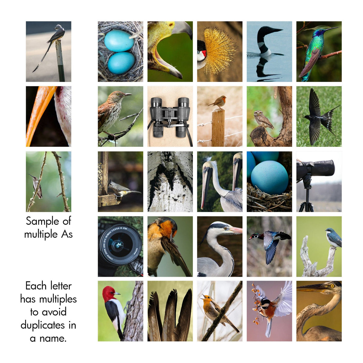 Bird Watcher&#39;s alphabet from Personal Prints