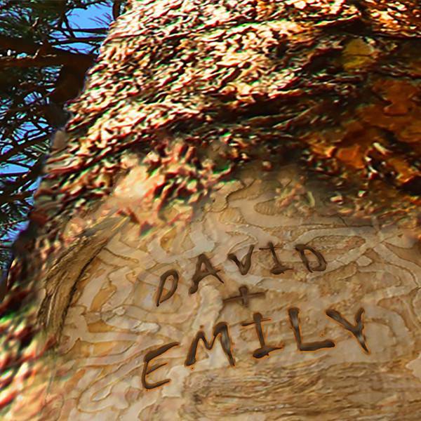 Detail of Names Personalized on Tree