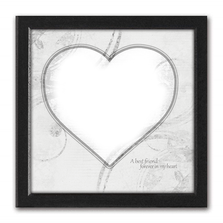 Personal-Prints art 15"x15" Framed Canvas White Cat Pet Memorial