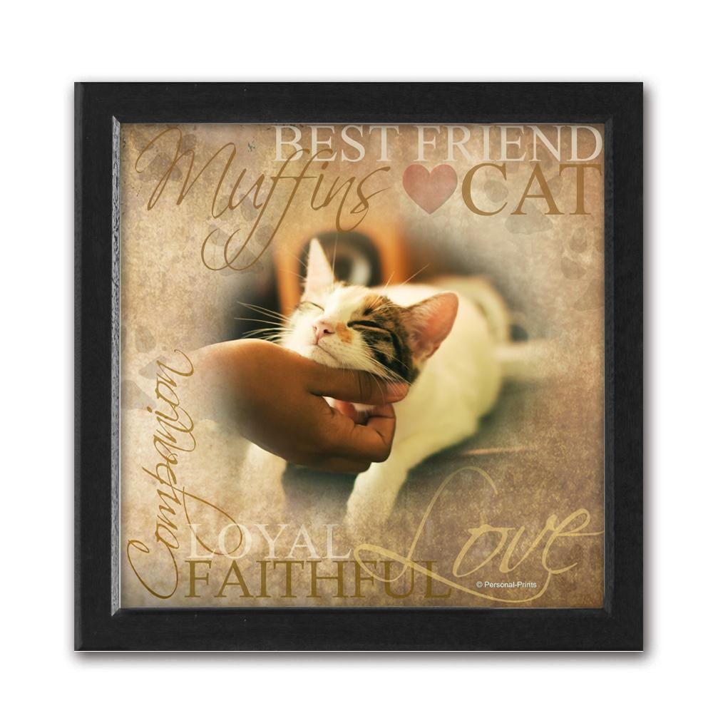 Personal-Prints art 15"x15" Canvas (Dark Espresso Frame) Cat - Pet Photo Art