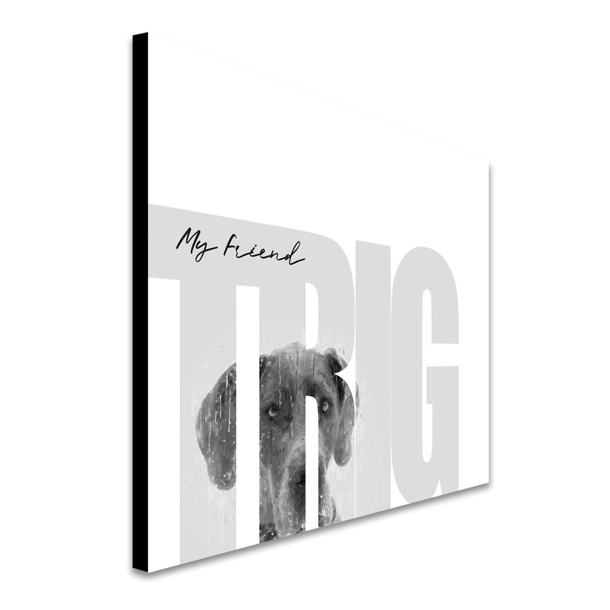 Personal-Prints art My Friend - Great Dane (Medium Coloring)