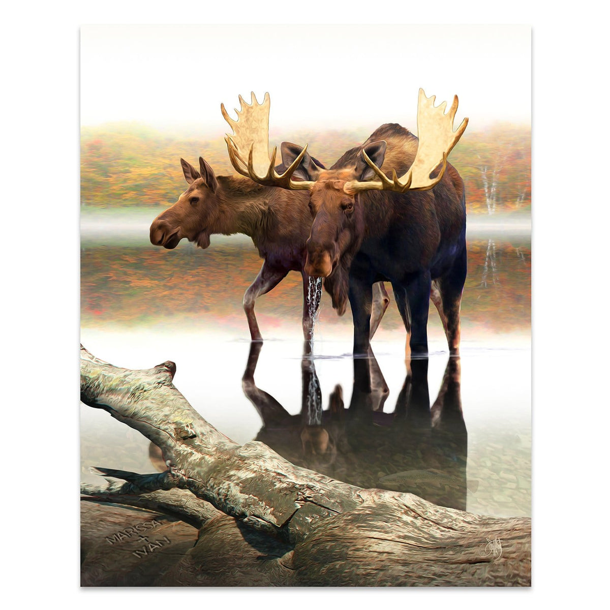 Personal-Prints art 11"x14" Block Mount Peaceful Pair - Moose Print