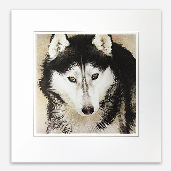 Vintage Siberian Husky Portrait buy Dog Drawing Framed Signed Black White 1980s