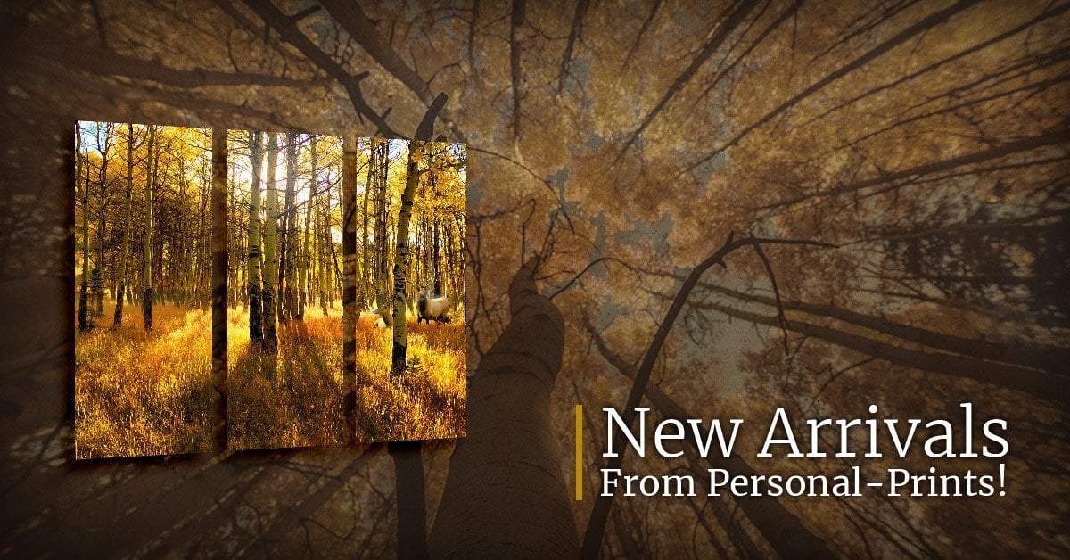 New Arrivals from Personal-Prints!