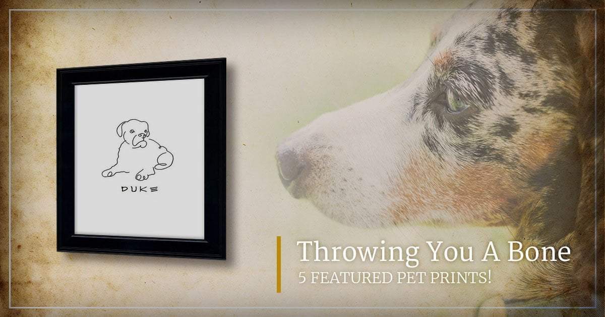 Throwing You A Bone — 5 Featured Pet Prints!