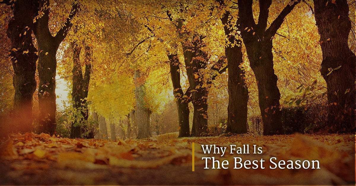 Why Fall is the Best Season