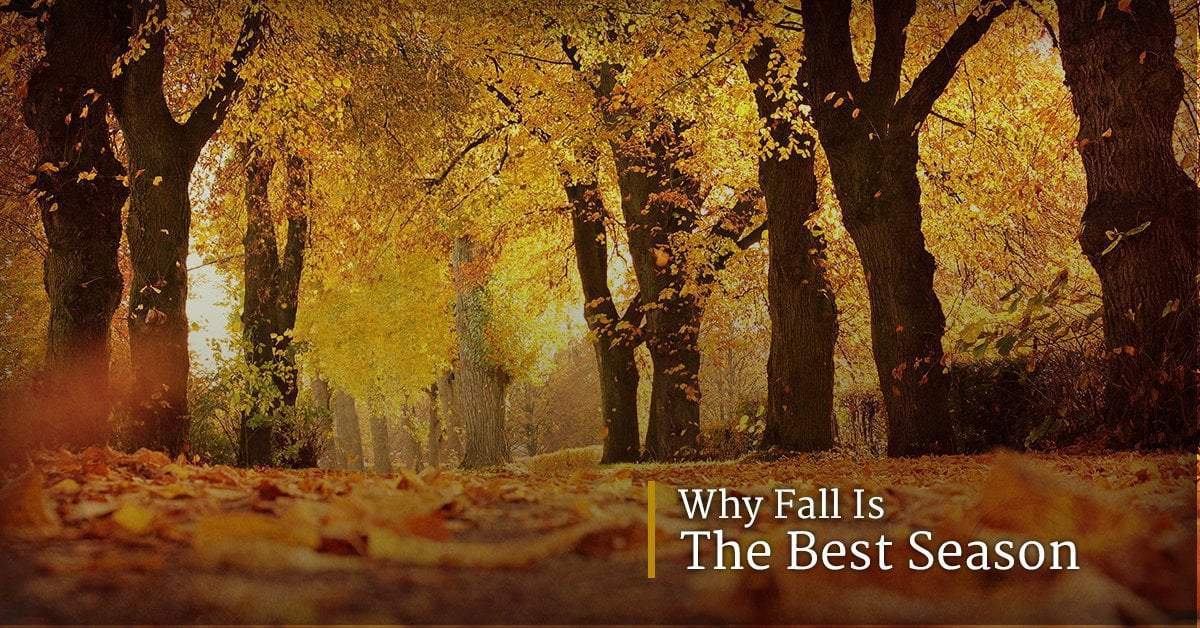 Why Fall is the Best Season