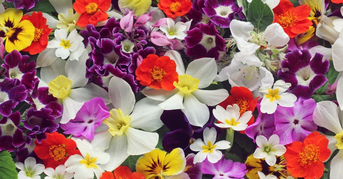 Personalized Floral Prints | The 12 Days of Printsmas