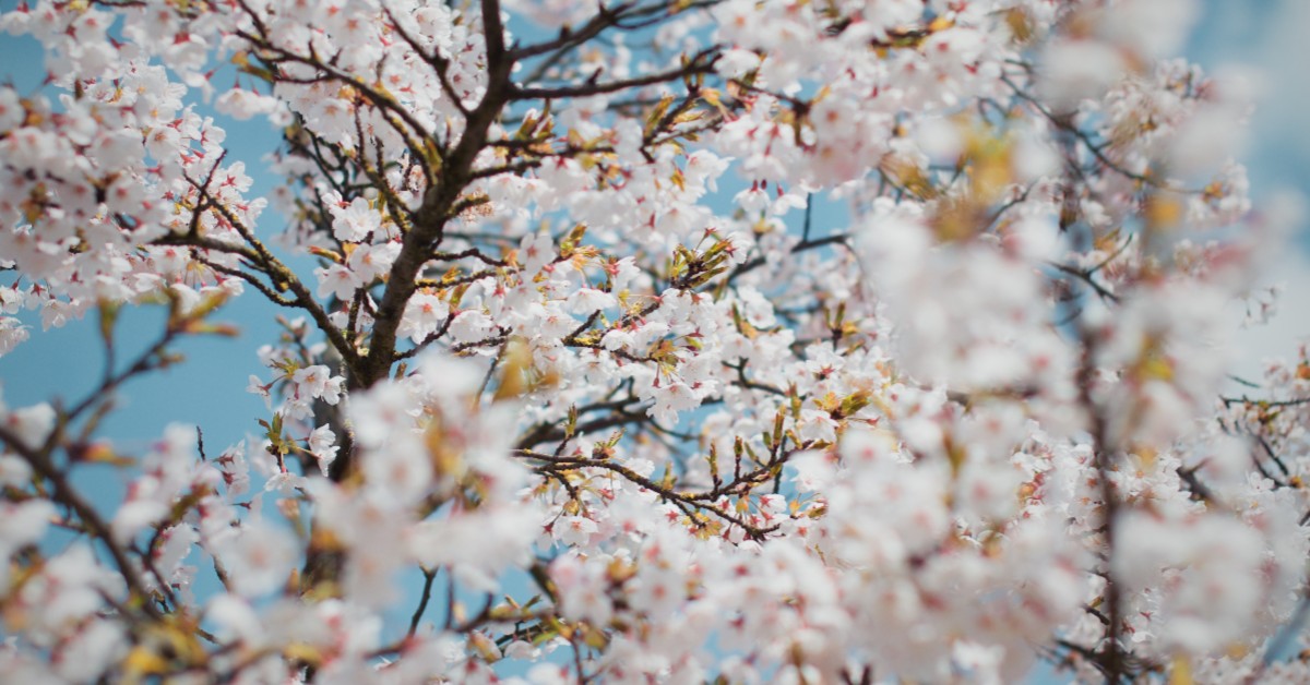 4 Personalized Prints That Will Brighten Your Home This Spring