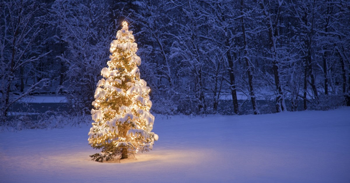 Looking for a Last-Minute Gift Idea?