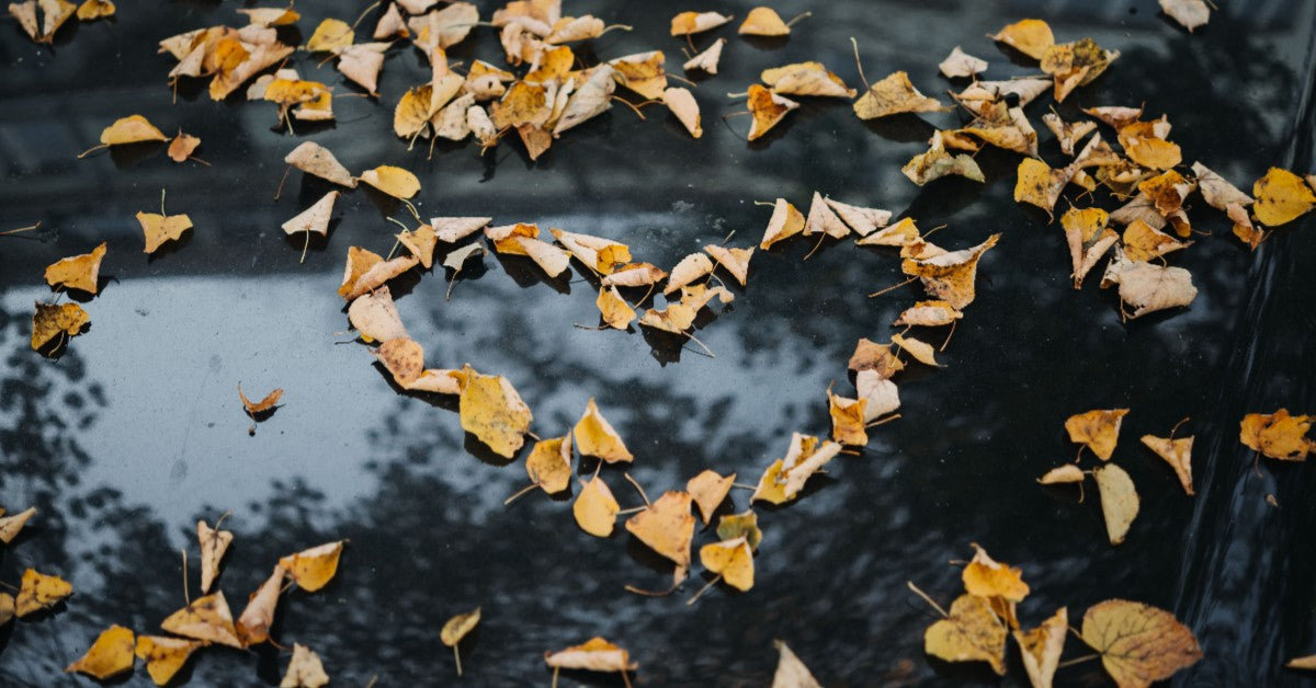 Show the Important People in Your Life How Much You Care