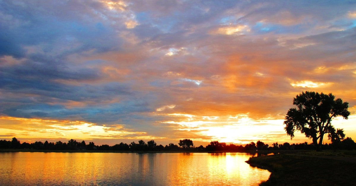 Why You Should Choose Personal-Prints This Summer