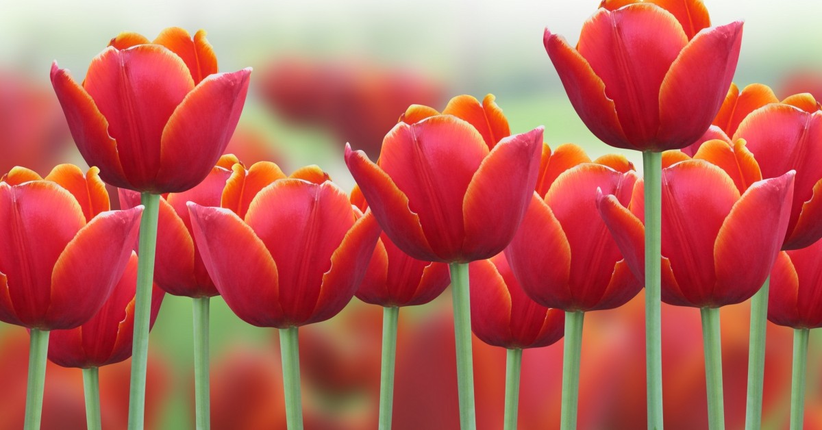 Save 15% On Mother's Day and Graduation Gifts!