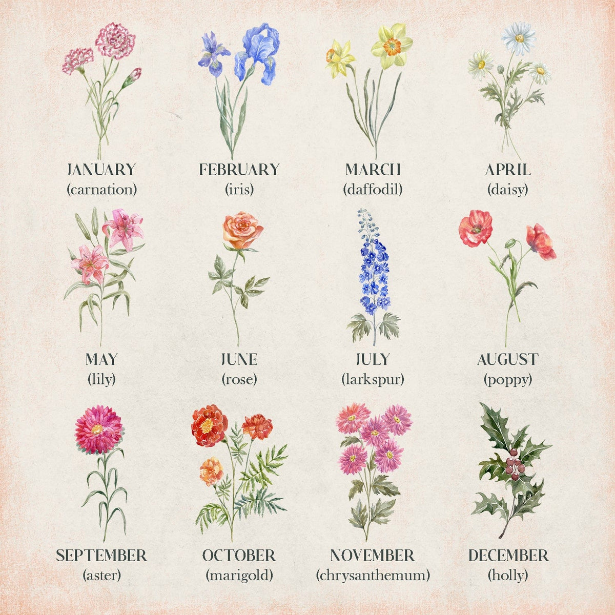 Birth Month Flower Garden - Personalized Gift For Mom