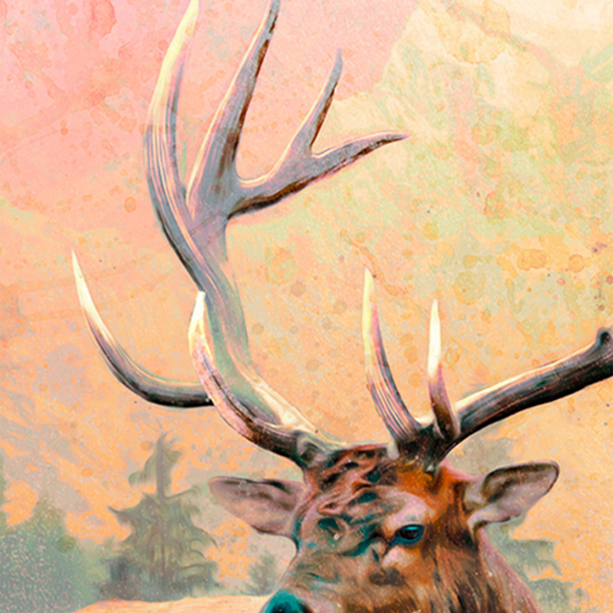 Colorado Bull Elk Art Print Antler Detail