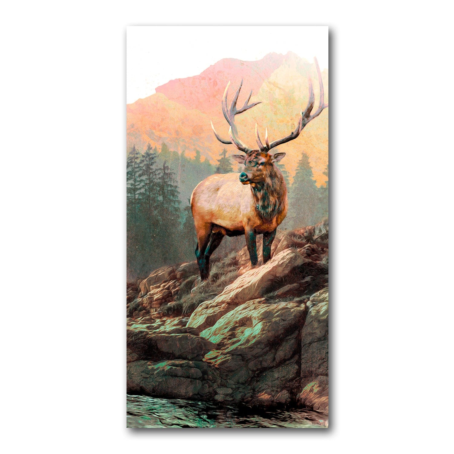 King of the Mountain Art Print Rocky Mountain Elk