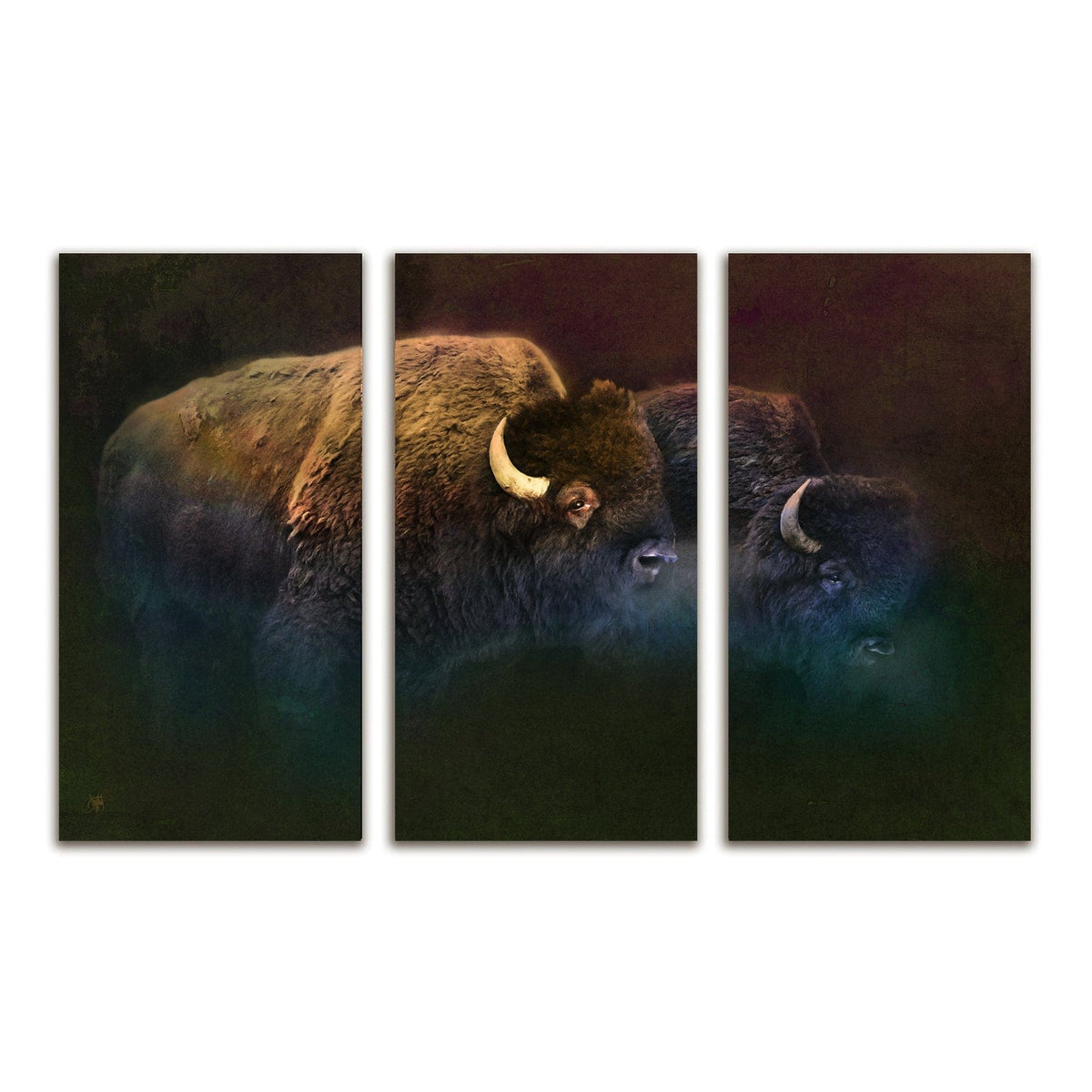 Set of 3 large wildlife canvas panels of Bison