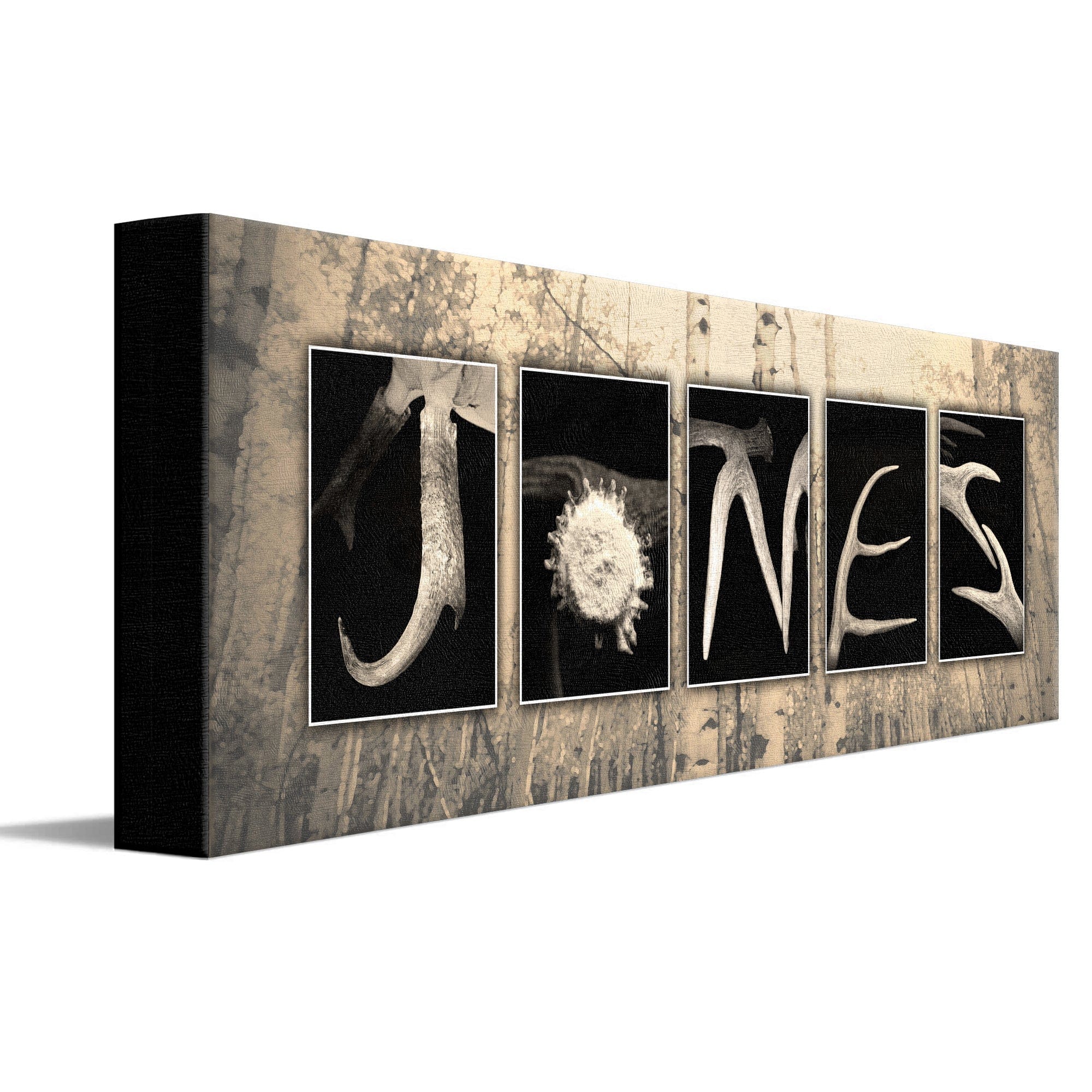 Personal-Prints art 6"x18" Stretched Canvas Antler Letters Name Print