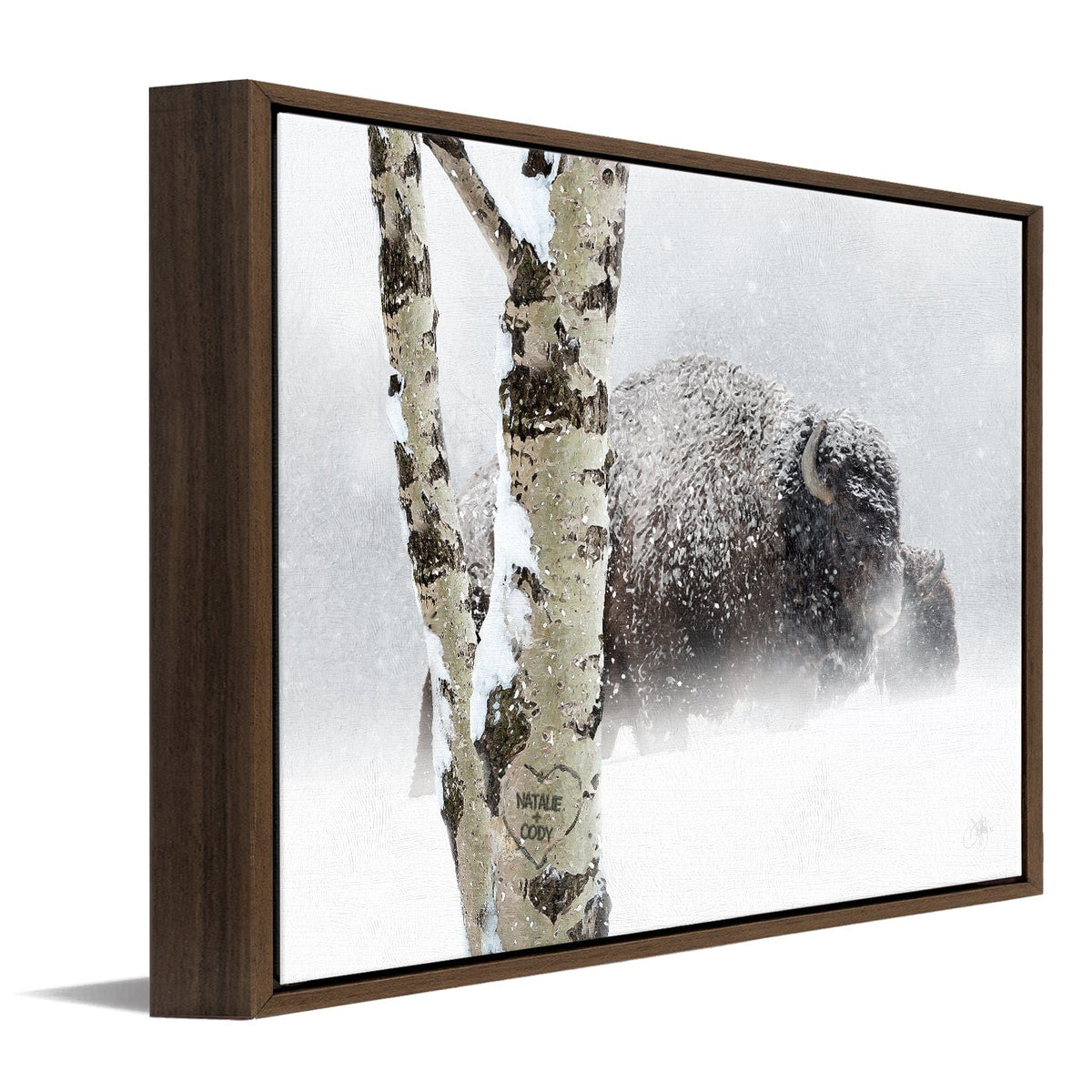 Personal-Prints art 12&quot;x16&quot; Float Framed Canvas Aspen Bison
