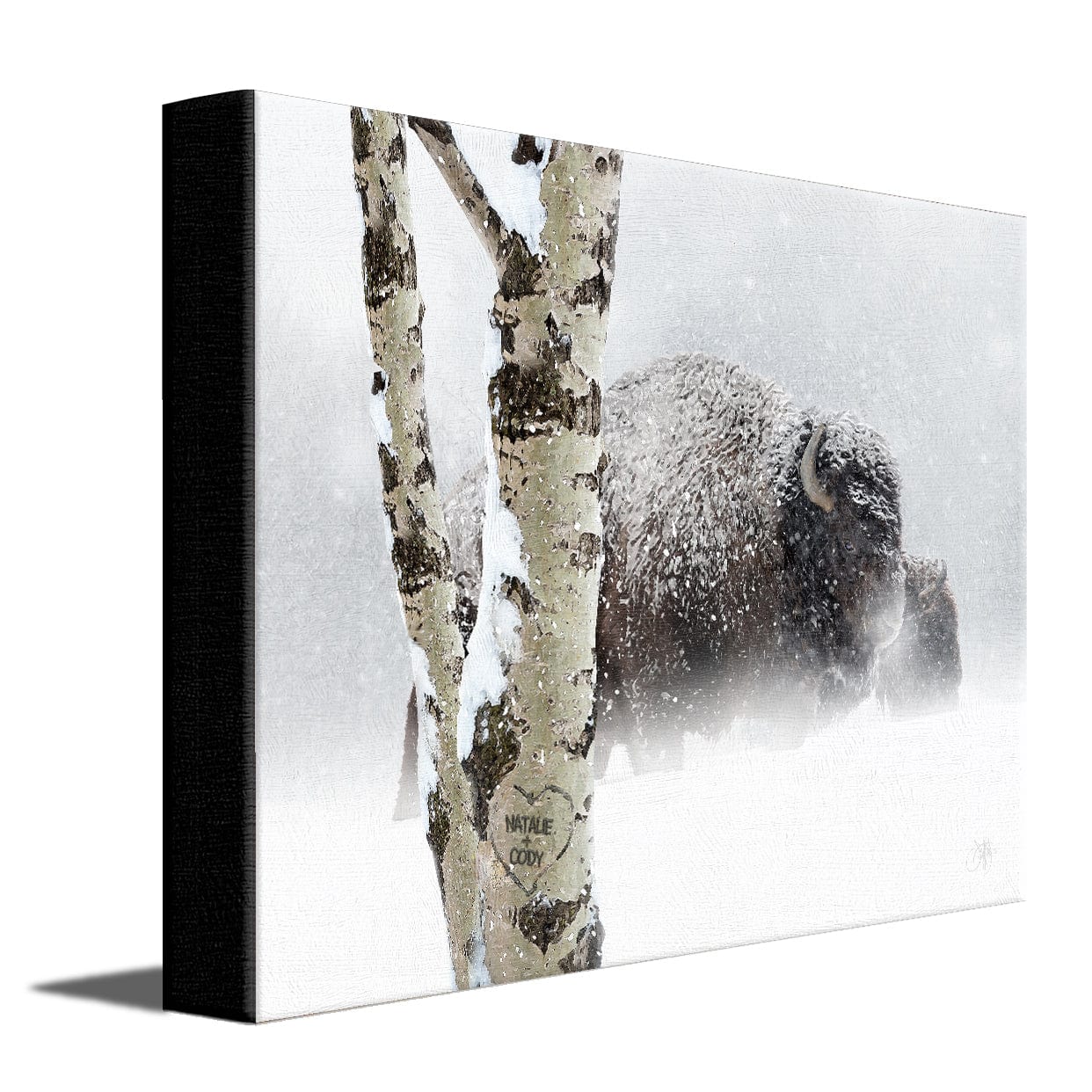 Personal-Prints art 11"x14" Stretched Canvas Aspen Bison