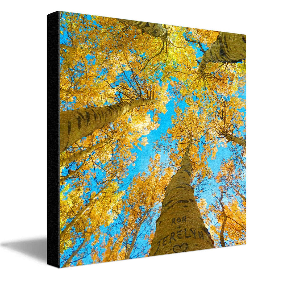 Personal-Prints art 16&quot;x16&quot; Stretched Canvas Aspen Up