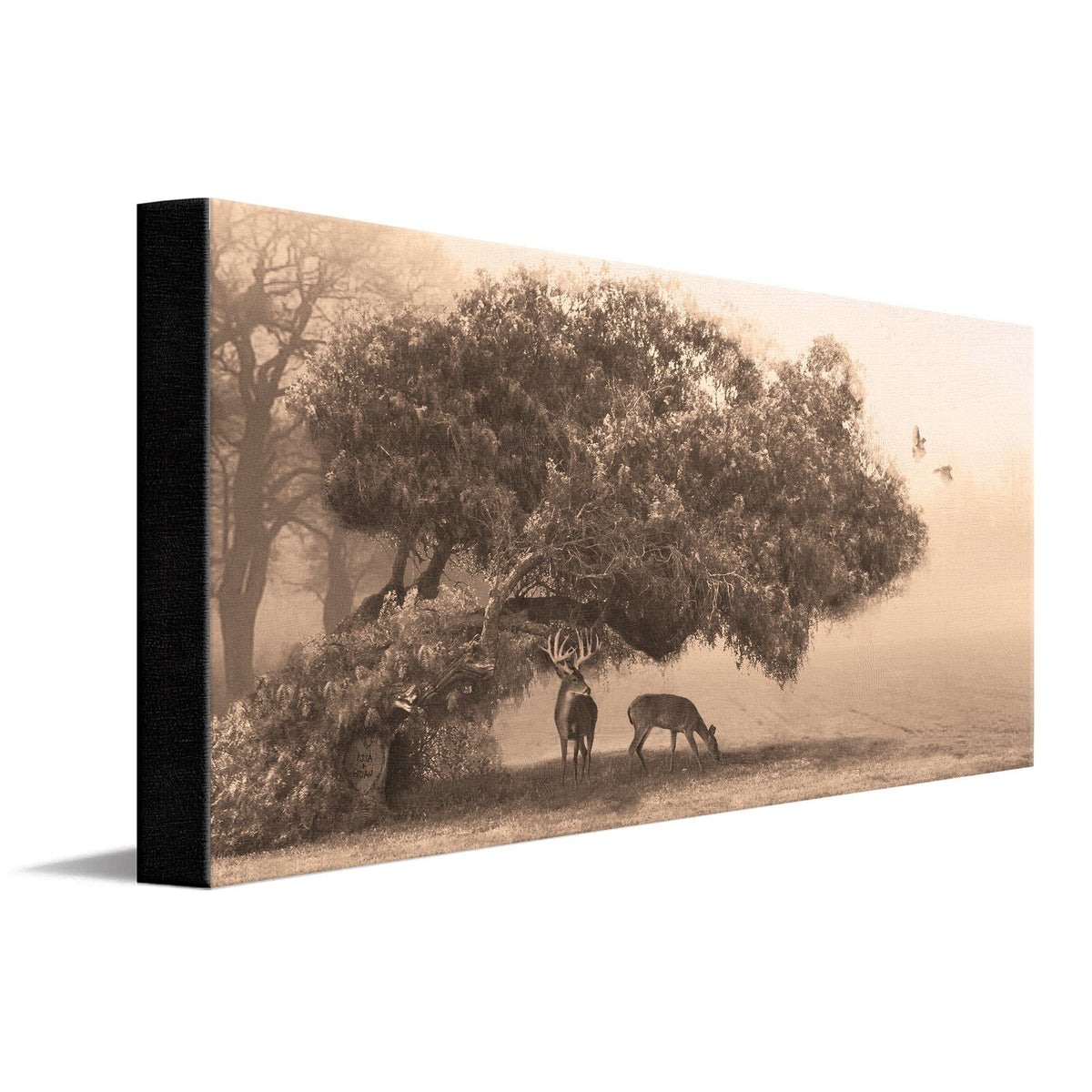 Personal-Prints art 16&quot;x32&quot; Stretched Canvas Autumn Meadow