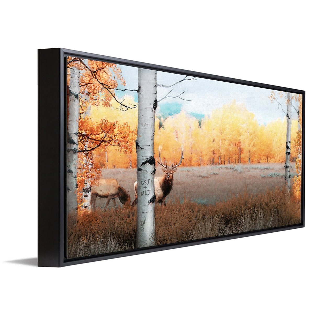 Personal-Prints art 16&quot;x32&quot; Float Framed Canvas Autumn Splendor