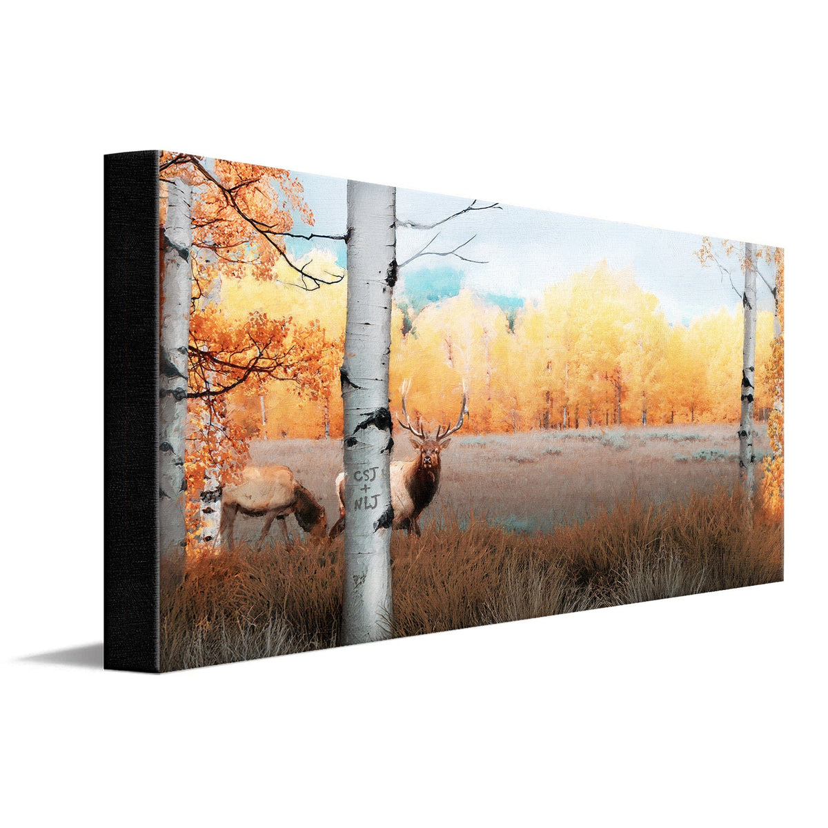 Personal-Prints art 16&quot;x32&quot; Stretched Canvas Autumn Splendor