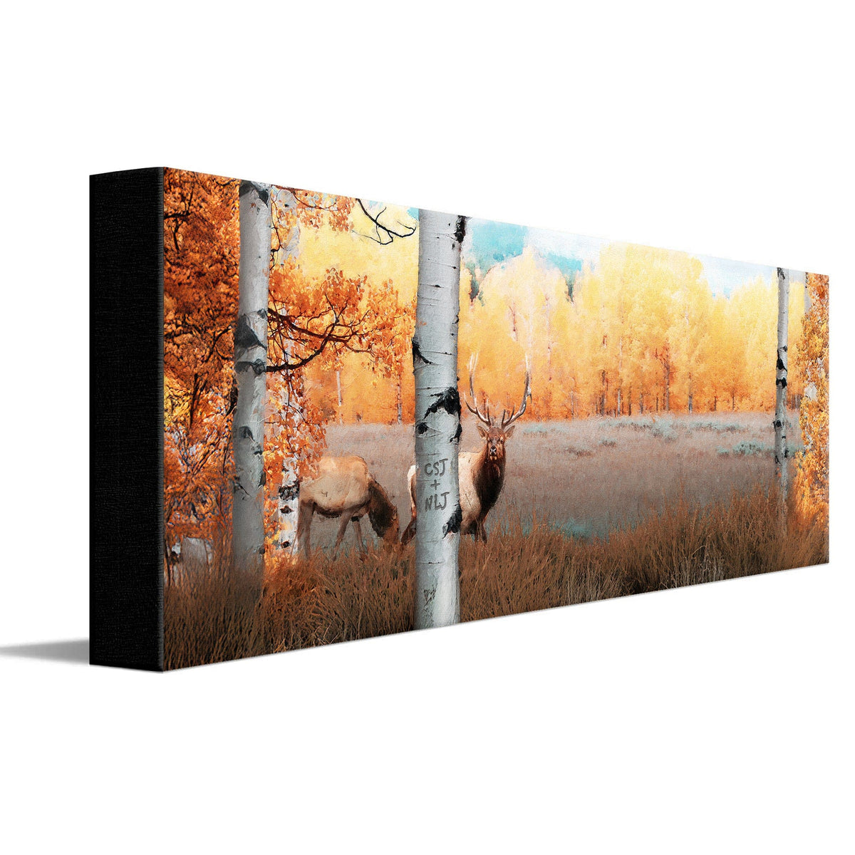 Personal-Prints art 10&quot;x30&quot; Stretched Canvas Autumn Splendor