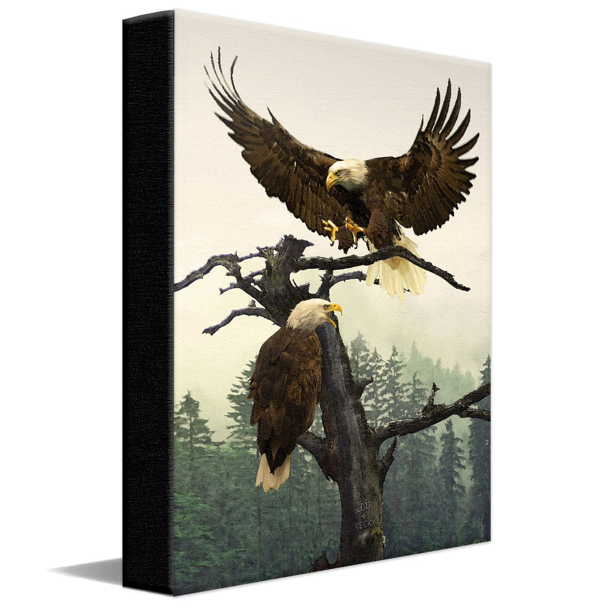 Personal-Prints art 11&quot;x14&quot; Stretched Canvas Bald Eagle Couple